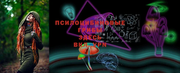 гидра Богданович