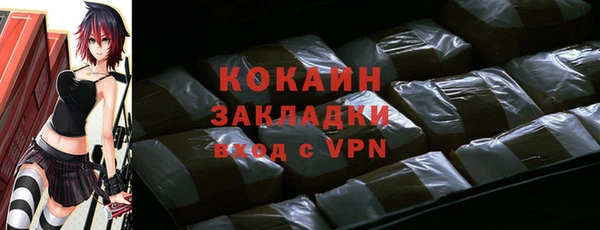 гидра Богданович