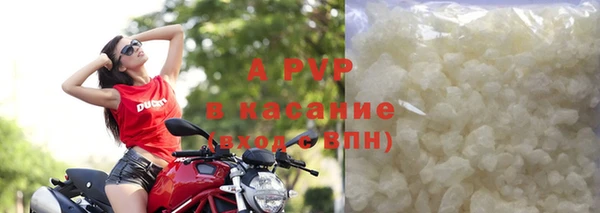 гидра Богданович