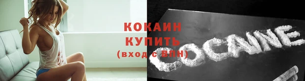 ECSTASY Богородицк