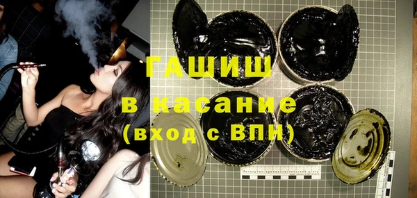 гидра Богданович