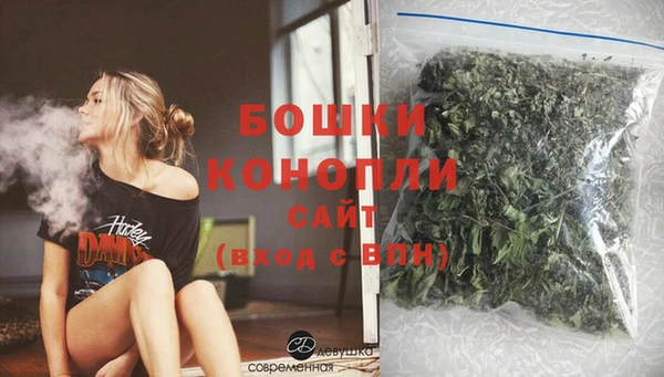 гидра Богданович
