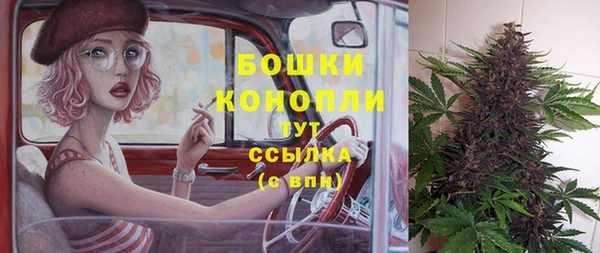 гидра Богданович