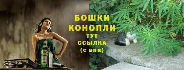 гидра Богданович
