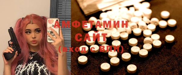 гидра Богданович