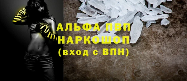 ECSTASY Богородицк