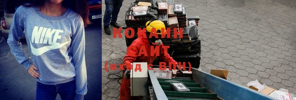 гидра Богданович