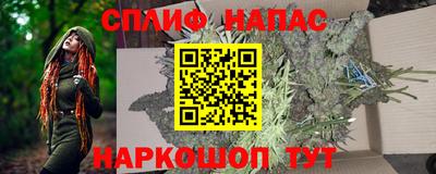 ешки Дубна
