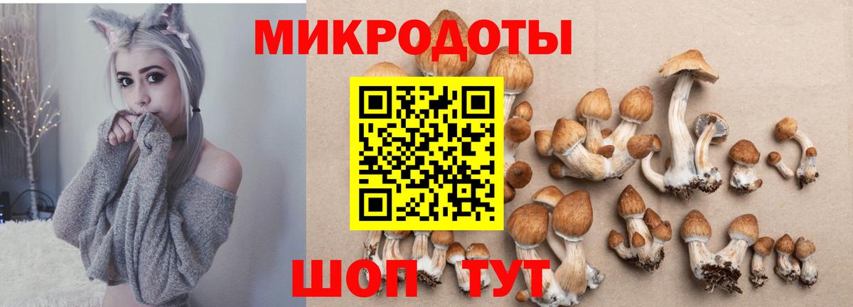 Галлюциногенные грибы GOLDEN TEACHER Буйнакск