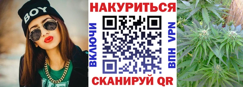 Канабис планчик Буйнакск